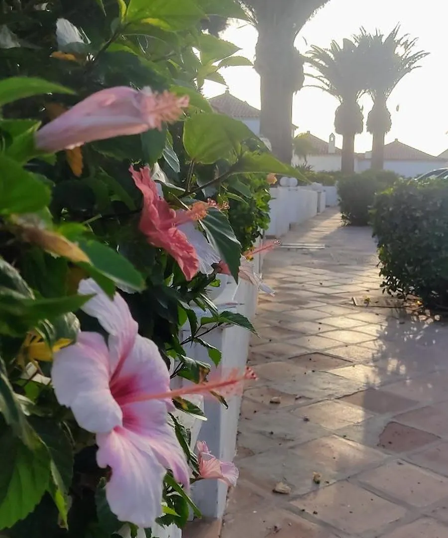 Promenade Paradise Apartment Σαν Μιγκέλ ντε Αμπόνα